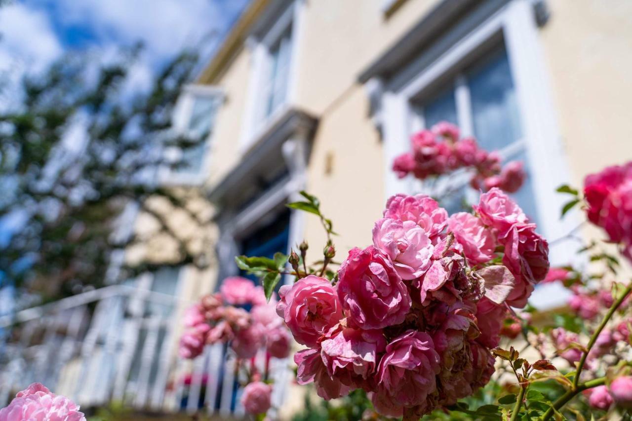 Ferry House Bed & Breakfast Dun Laoghaire Exterior foto